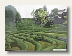 鴨川「大山千枚田」