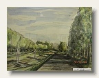 昭和記念公園